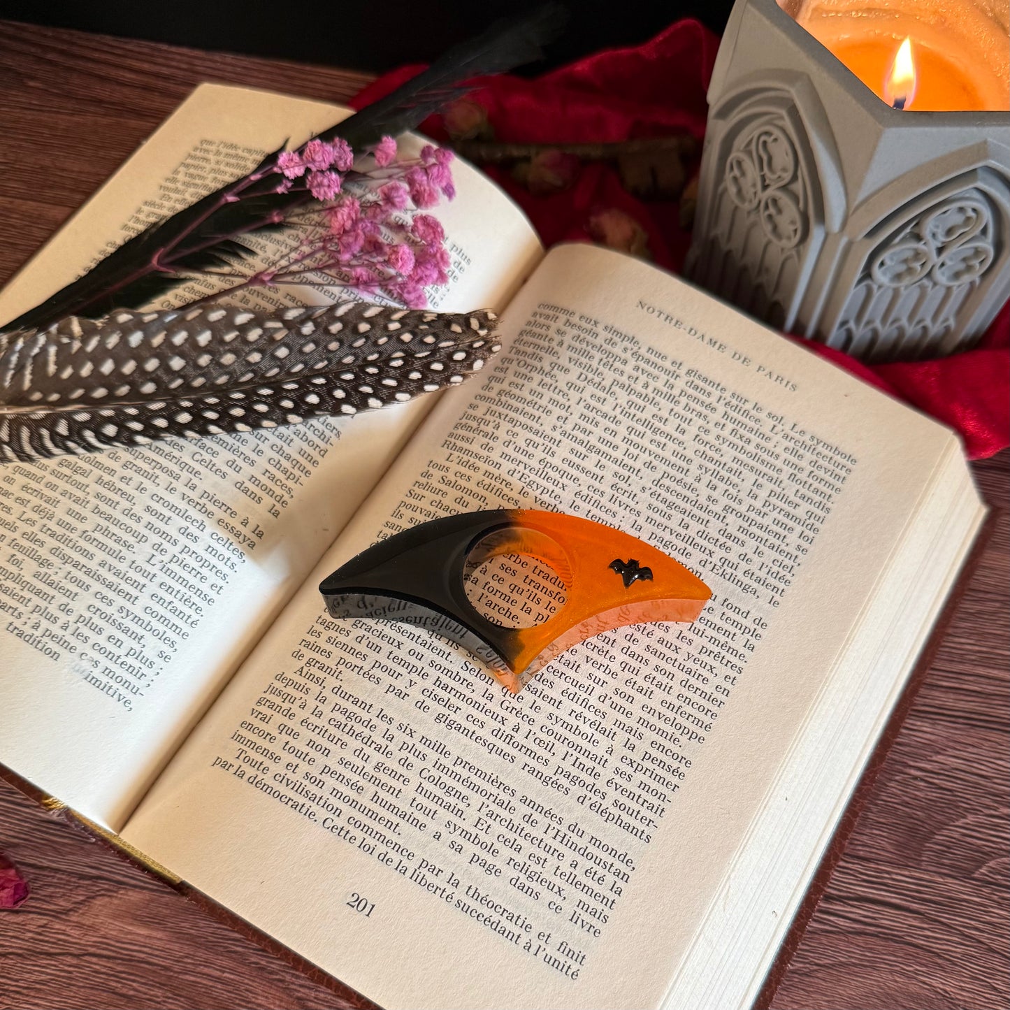 Bague de Lecture