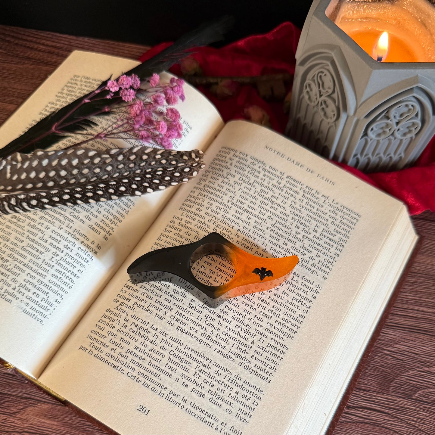 Bague de Lecture