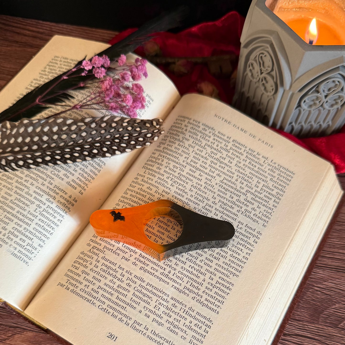 Bague de Lecture