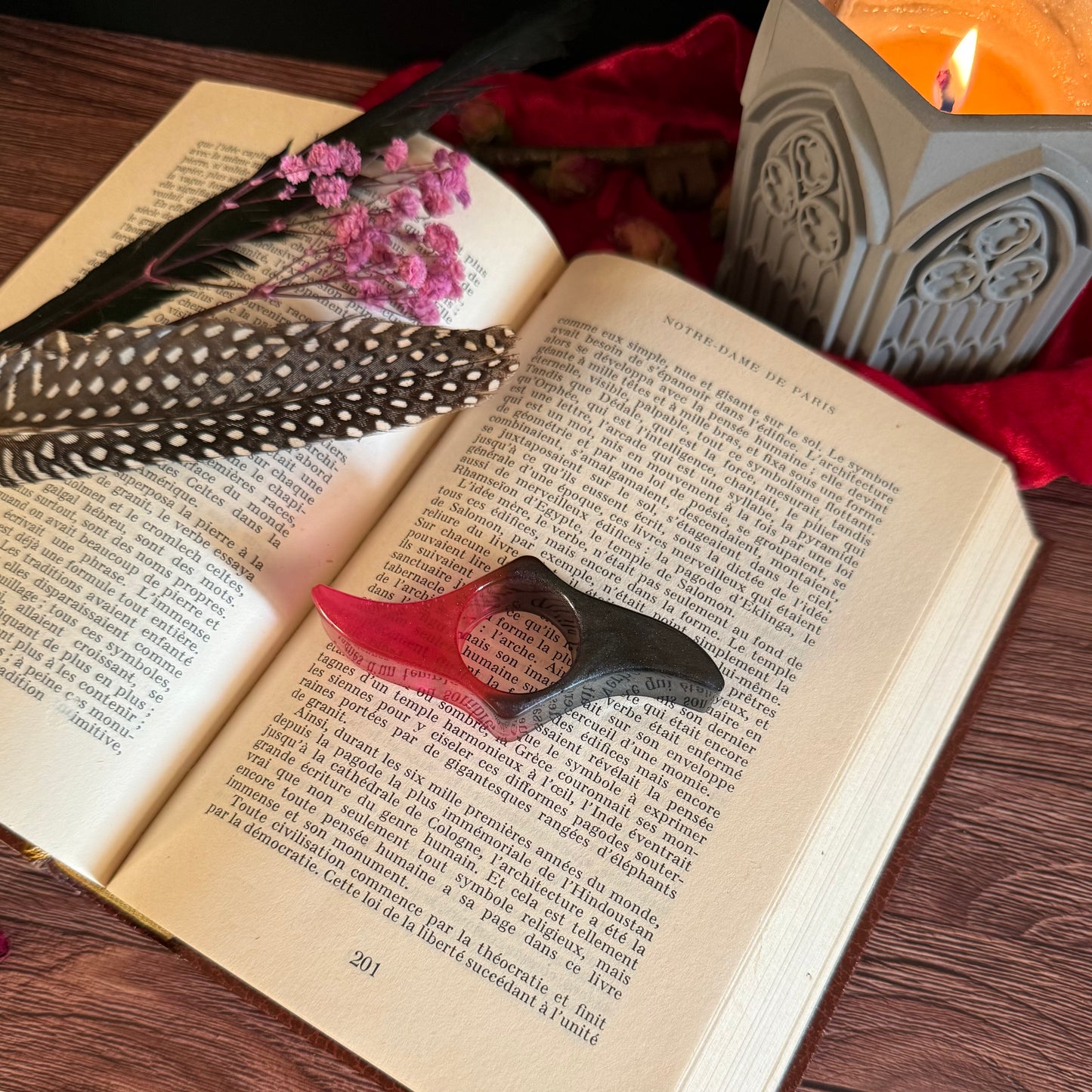 Bague de Lecture